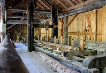 segheria veneziana rabbi